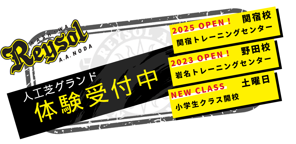 柏レイソル公認サッカースクール 柏レイソルアライアンスアカデミー野田